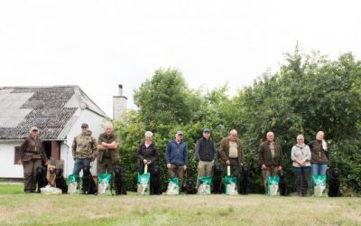 Meget er sket i sommer